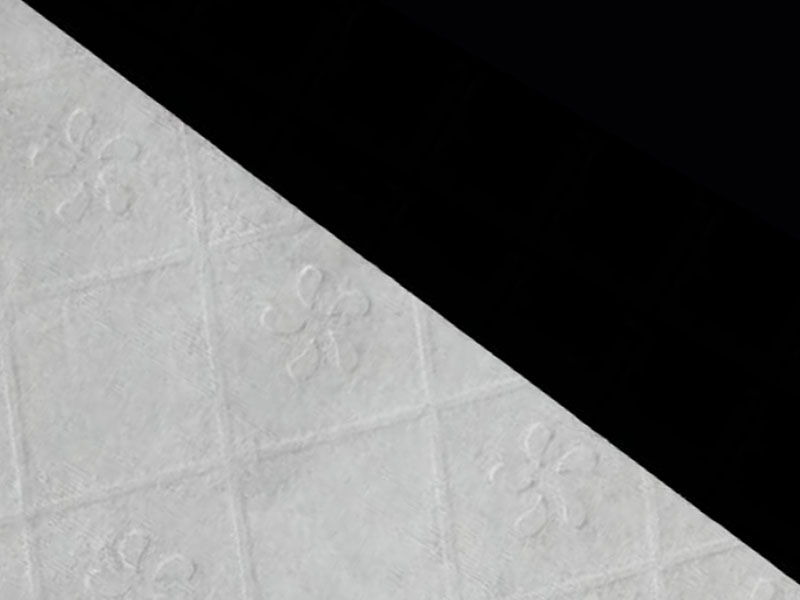 Spülbarer Stoff aus Viskose/Zellstoff für Toilettenpapier